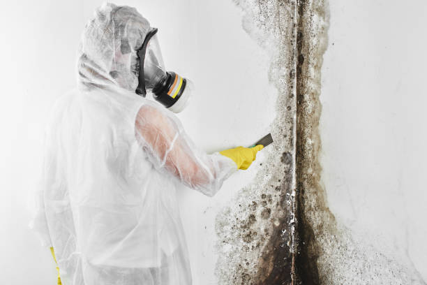 Harrah, OK Mold Remediation Company