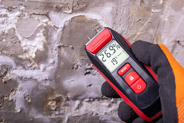 Best Basement Mold Remediation in Harrah, OK