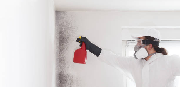 Best Residential Mold Remediation in Harrah, OK